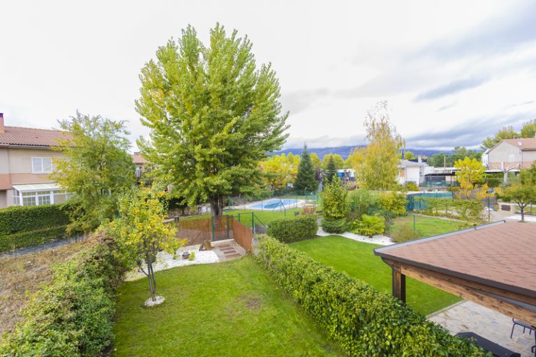 DEBORAH-GUADALIX DE LA SIERRA _66 - copia